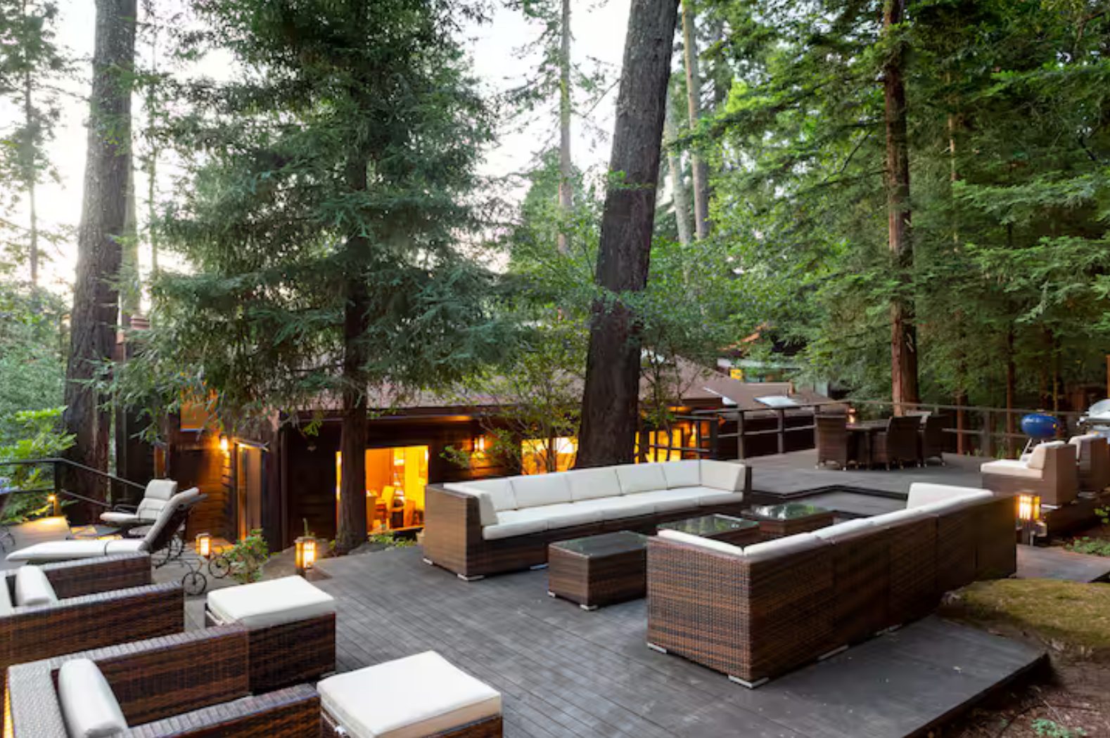 Outdoor lounge beneath the redwoods